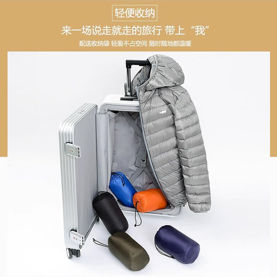 Cardile crocodile stand collar lightweight down jacket