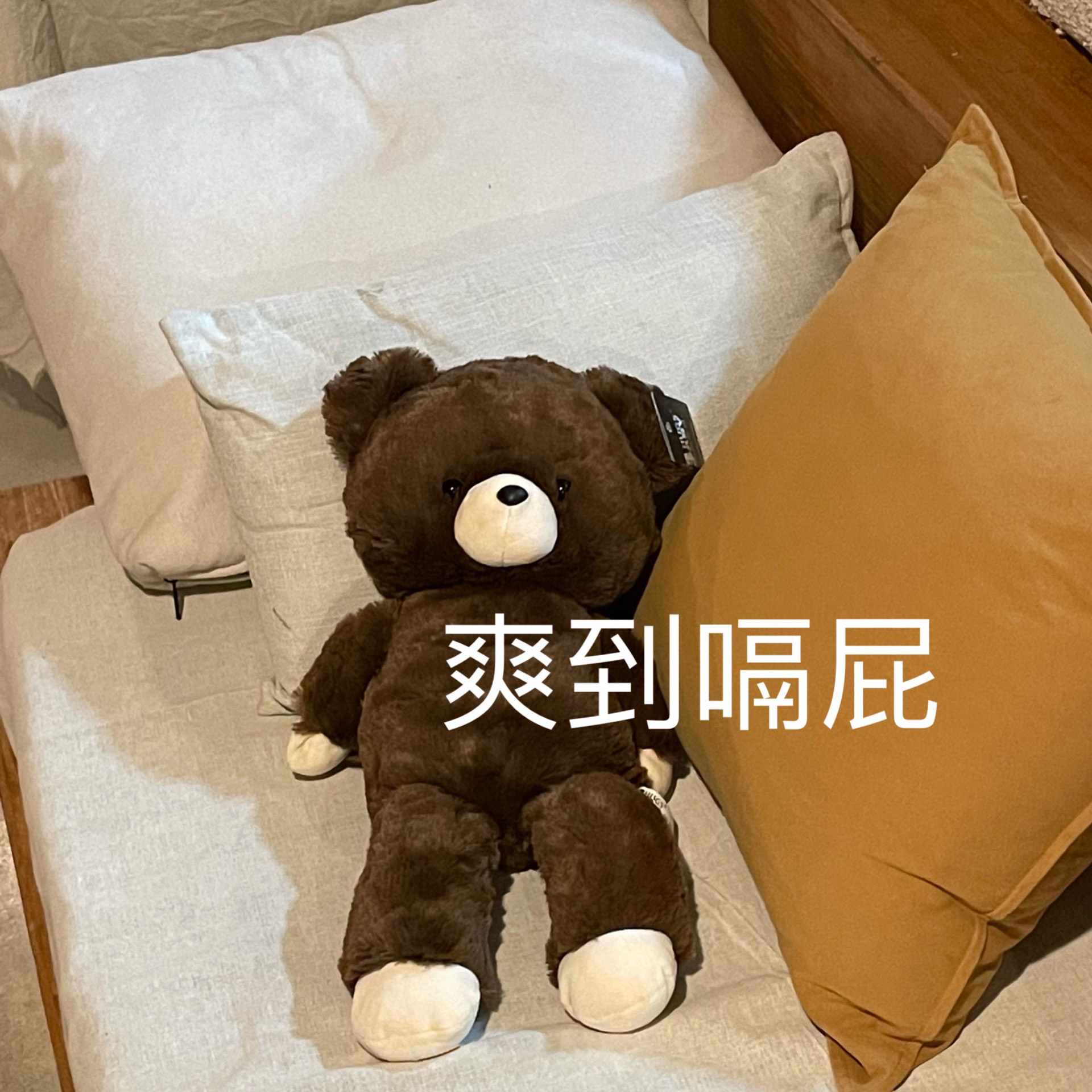 躺平小熊肌无力沙雕可爱毛绒公仔 贝克蜜雪毛绒布艺类玩具