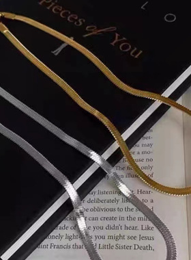s925纯银扁蛇骨链素链项链女轻奢高级欧美小众刀片颈链ins锁骨链