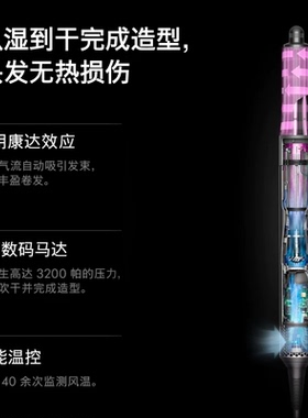 Dyson 戴森HS02多功能美发棒造型电吹风机卷直两用卷发棒铜镍色