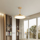 Suoyan simple ceiling fan lamp restaurant bedroom silent eye protection