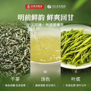 林湖特级碧螺春浓香型茶叶明前绿125g
