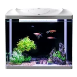 Sensen Fish Tank аквариум экологический настольный настольный компьютер Творческий золотой аквариум вентилятор Маленькая гостиная без переключения вода домашний аквариум