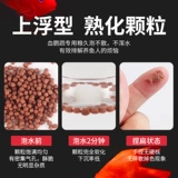 Sensen с высоким содержанием белкового цвета увеличивает кровь попугайку, попугай, рыба, рыба, рыба, тропическая рыба