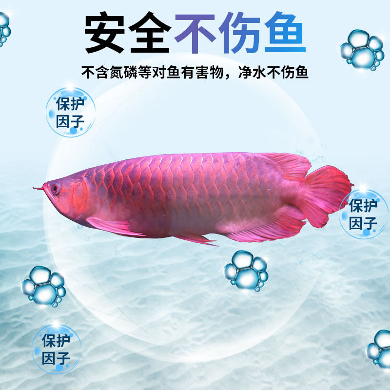 森森硝化细菌净水剂鱼缸热带鱼观赏鱼水质净化液体澄清剂非药水,淘宝优惠券,粉丝福利购,淘宝优惠卷