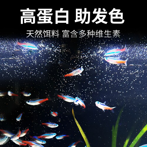 森森幼鱼小型鱼开口鱼食丰年虾卵孔雀鱼免孵化斑马彩群脱壳饲料-图3