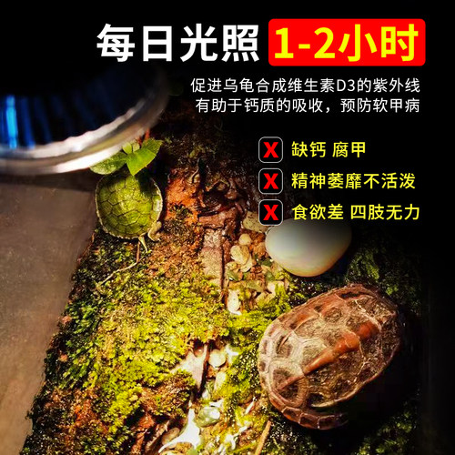 森森乌龟晒背灯全光谱 爬宠陆龟蜥蜴太阳灯加热灯泡爬虫保温灯 - 图0