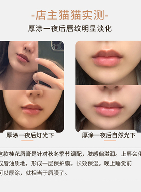 猫家芳集保湿润泽桂花蜂蜜润唇膏