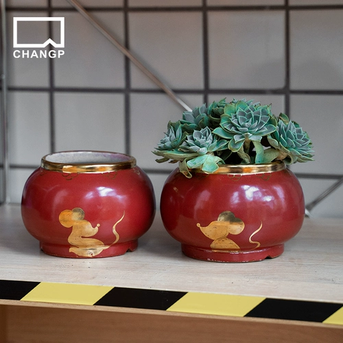 Changpin Life Сочный растительный цветок Мясоцкий горшок камный камный керамический цветок