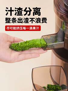 狮威特不锈钢榨汁机家用商用大口径果汁店榨生姜芹菜原汁机豆浆机