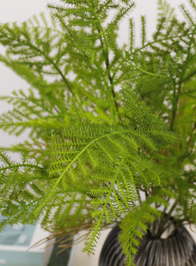 仿真绿植叶子文竹叶室内家居装饰插花摆件假绿植高级感仿真文竹叶