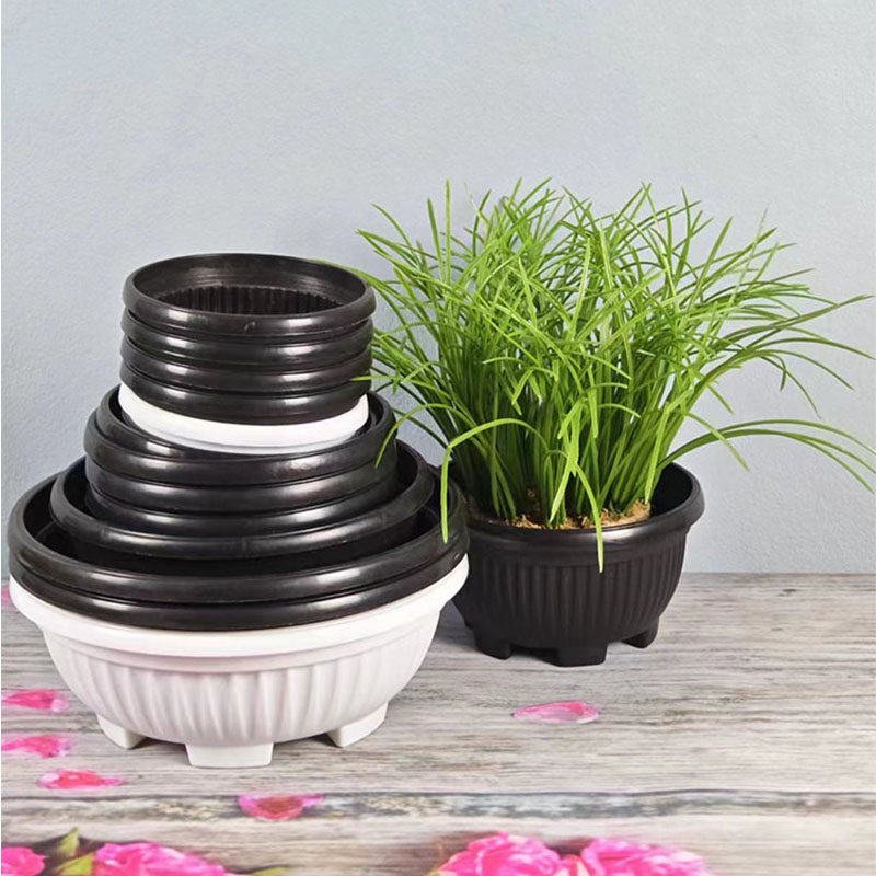 带托元宝盆加厚韩式多肉盆仙人球盆大口径圆形花盆塑料矮盆新款,淘宝优惠券,粉丝福利购,淘宝优惠卷