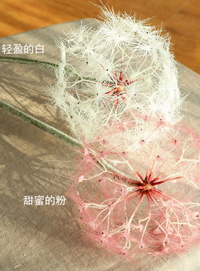 蒲公英高冷客厅摆放ins仿真花