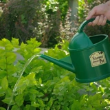 Алиса Смола Цвет душевой душ спрыскивать водяной горшок с чайником, домашнее садовод