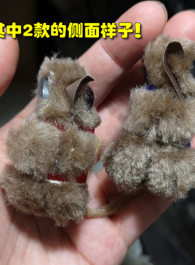 菲律宾当地带回薄荷眼镜猴冰箱贴