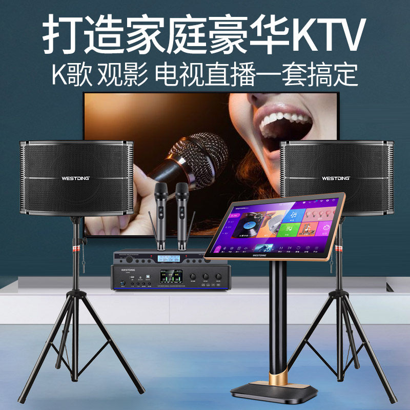威斯汀168专业家庭ktv套装全套 威斯汀KTV/卡拉OK音箱