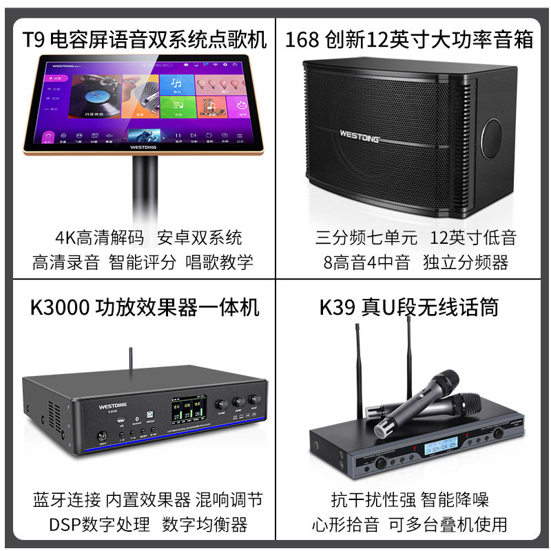 威斯汀168专业家庭ktv套装全套 威斯汀KTV/卡拉OK音箱