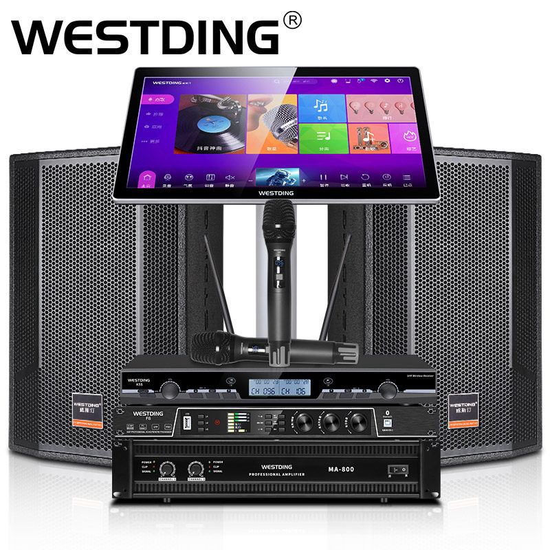 【旗舰套装】威斯汀q8专业家庭ktv 12 威斯汀KTV/卡拉OK音箱