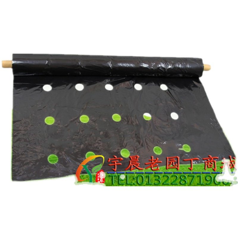 定制带洞眼农用塑料薄膜蔬菜双色打孔地膜银黑地膜草莓辣椒西红柿,淘宝优惠券,粉丝福利购,淘宝优惠卷