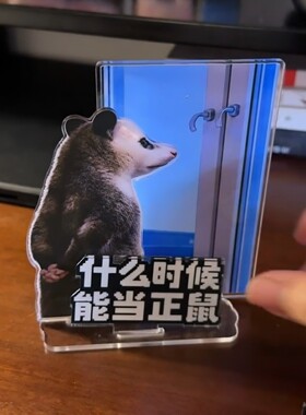 【收到！办不】负鼠表情