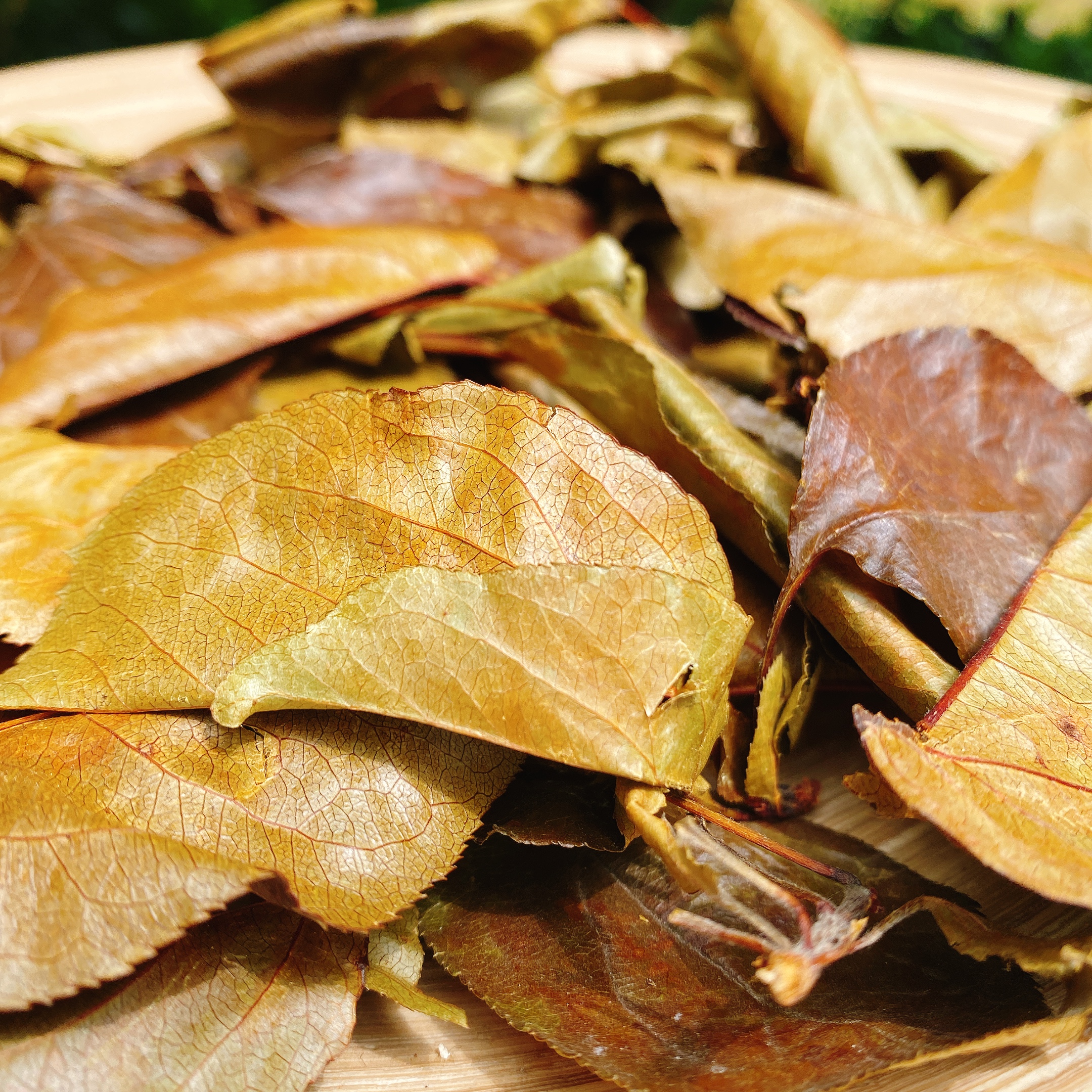 新茶湖北特产海棠红三皮罐茶叶大碗茶土茶夏季凉茶三匹罐红茶包邮-图2