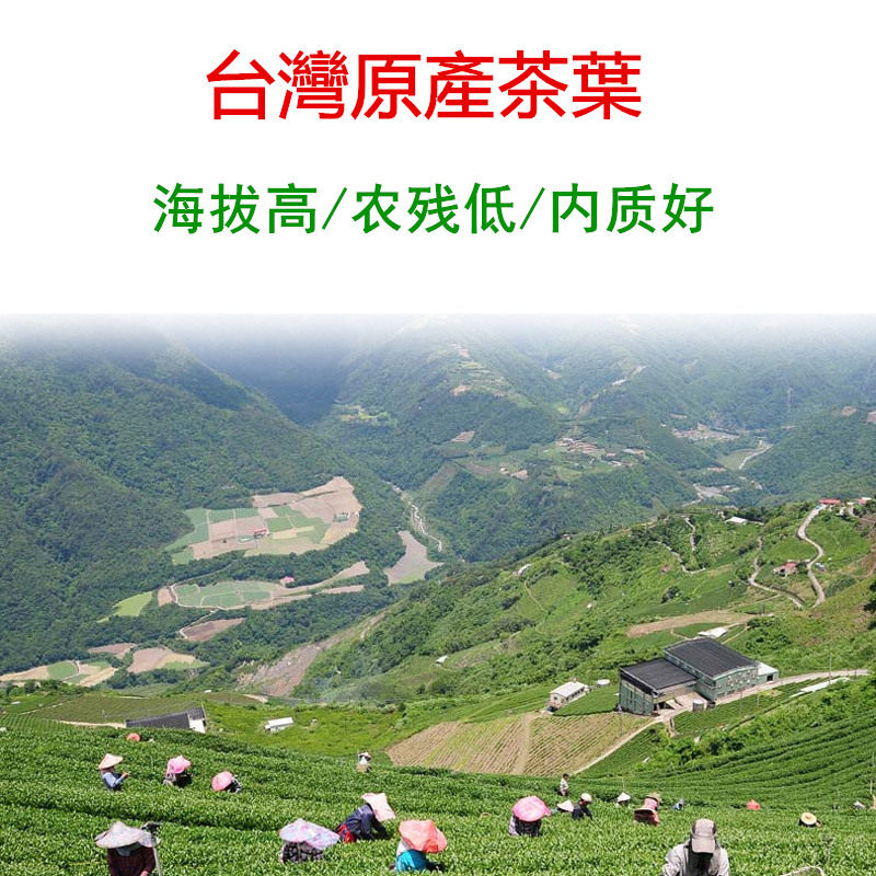 冻顶乌龙茶台湾高山茶清香型原产自喝口粮金萱四季春新茶台湾茶叶,淘宝优惠券,粉丝福利购,淘宝优惠卷