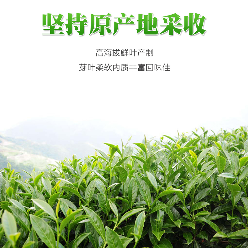 新茶台湾大禹岭乌龙茶高冷茶叶150g清香型罐装正宗台湾原装高山茶-图3