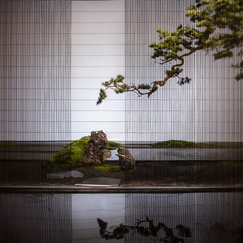 仿真悬挂松树迎客松假树仿真树玄关造景大型悬挂植物中式室内装饰 - 图1