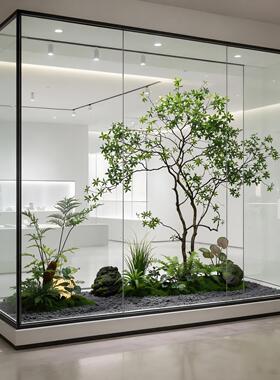 高端会所景观装饰大型落地马醉木