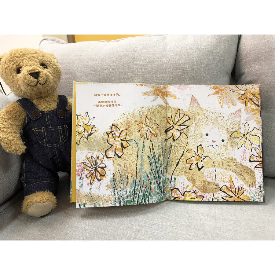 完美的一天(正版硬壳精装)凯特格林纳威奖,莱恩史密斯,儿童绘本3三-4-5到6岁以上幼儿园大中小班孩子入学前阅读睡前故事图画书籍,淘宝优惠券,粉丝福利购,淘宝优惠卷