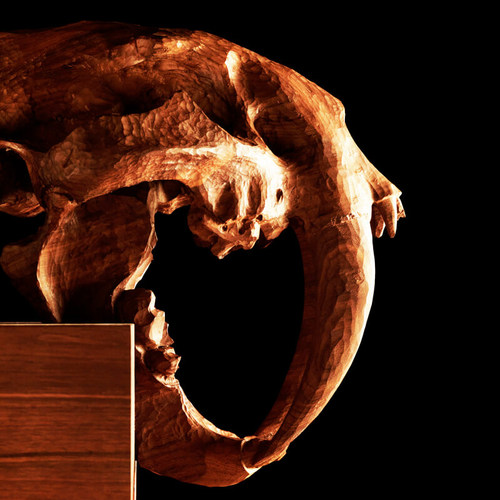 Degas德加实木酒柜Hercules剑齿虎储物柜中古风餐边柜收纳立柜 - 图1