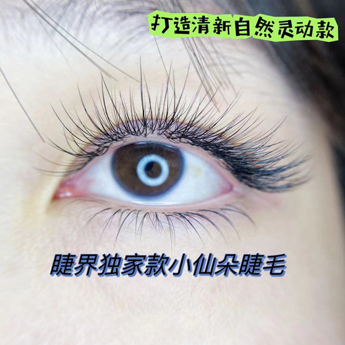 小仙朵海王长短夹心加密三叶草嫁接睫毛柔软自然款美睫师专用睫毛 - 图1