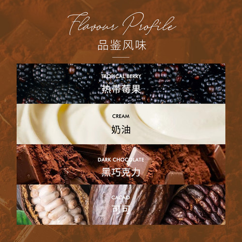 【甄选白金】新产季泰摩咖啡圣科娜庄园牙买加黑桶蓝山咖啡豆100g - 图0