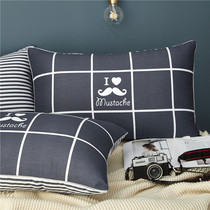 Pillow Single Double Pillow Core Pair Home Dress Whole Head Hotel Four Pieces (Pair Of Clothing) Student Men