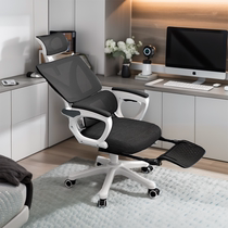 Body Engineering Chair Protection Waist Computer Chair Home Comfort Long Sitting Back Dorm Room Electric Race Chair Male Office Chair Seat