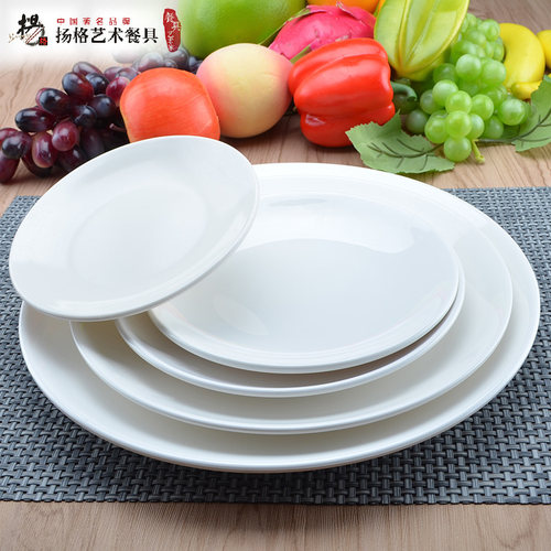杨格密胺餐具圆盘凉菜盘塑料长方形肠粉碟盘白色菜盘子小吃碟子 - 图2