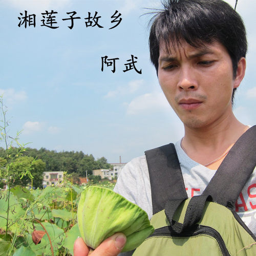 湖南白莲子干货去芯莲子新货农家自产无硫莲子去皮新鲜湘莲500g - 图1
