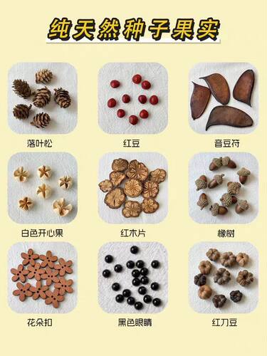 榼藤豆荚娃娃种子diy材料包成品风铃大种子果壳手作文创云南配件 - 图1