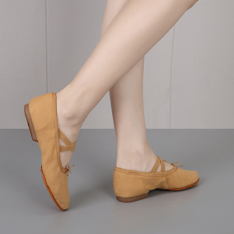 飒莎专业帆布教师鞋女士肚皮舞平底练功鞋古典民族舞鞋禅舞舞蹈鞋,淘宝优惠券,粉丝福利购,淘宝优惠卷