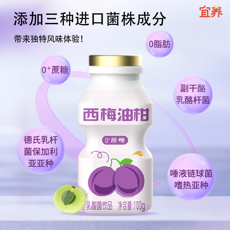 宜养西梅饮西梅多多油柑汁乳酸菌饮料100g*24瓶发酵益生菌饮品0脂