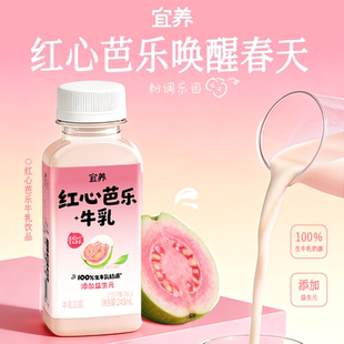 【宜养】0脂红心芭乐牛乳茶10瓶