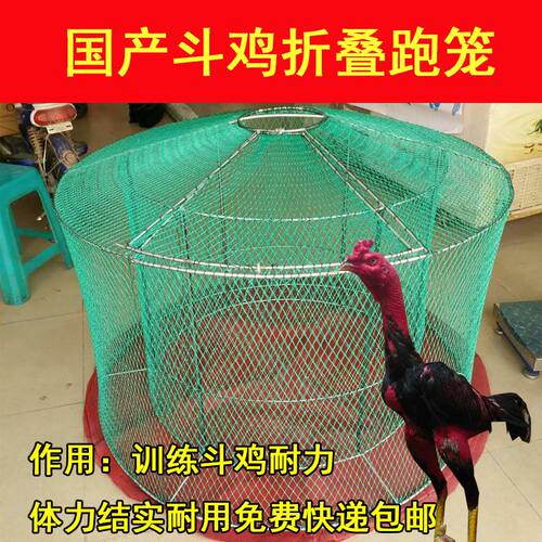 斗鸡跑笼斗鸡折叠跑笼斗鸡双层跑笼 斗鸡折叠笼 - 图2