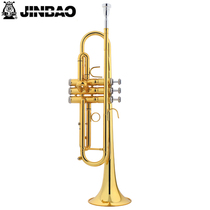 Zinbao small number JBTR-050 descent B tone professional playing hall class small number instrument European and American standard pressing drainage