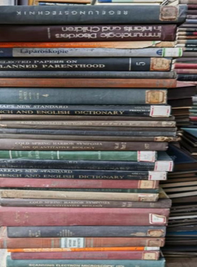 装饰书精装外文书古旧书橱窗复古书创意摆件摄影道具书老旧古董书