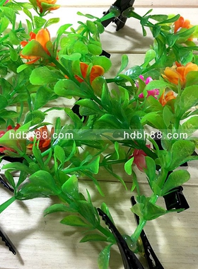 发夹小豆芽卖萌风头上长草