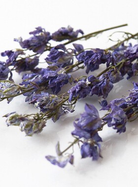 【飞燕草】天然植物花头香薰蜡烛手工diy材料包干花摆件拍摄道具