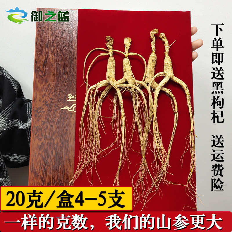 长白山野山参礼盒装吉林礼盒干参 御之蓝山参