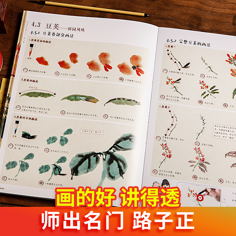 国画初学者入门 综合篇 零基础 完整作画视频 讲解 画具介绍 握笔姿势 调色方法 花 鸟 虫鱼 山水人物 精品绘画书 正能 - 图2