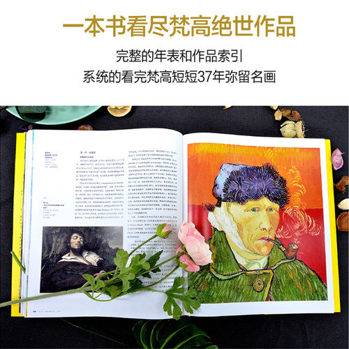 梵高化世间痛苦为激情洋溢的美 中文版 精装 艺术大师经典作品集 画作赏析 临摹 油画绘画佳作 信仰艺术生涯 艺术书籍 - 图0