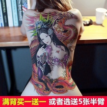 Full back tattooed with art prostitute Phoenix prostitutes waterproof and persistent Mens and womens Nino Beauty Back Mudan Flower Dragon Big picture Back